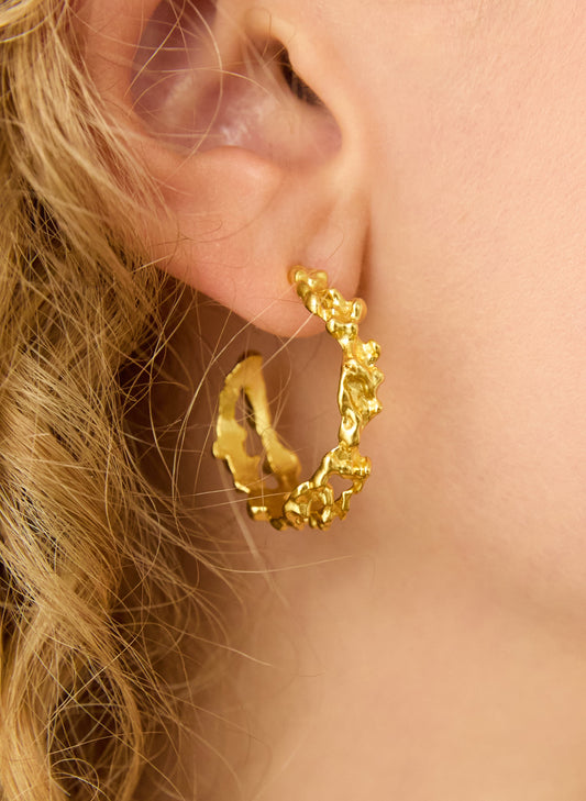 Arie Hoop Earrings - One Size / Gold