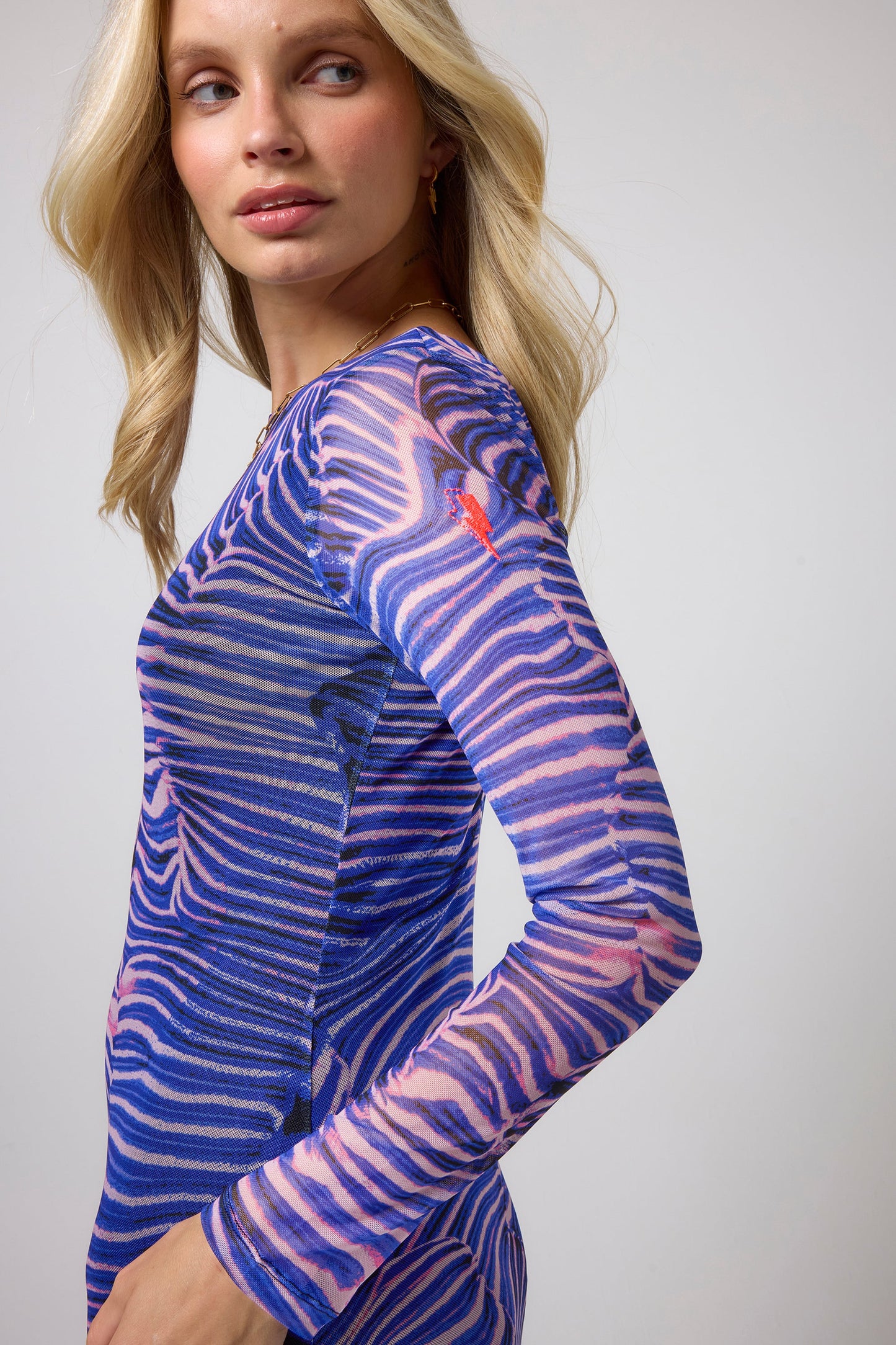 Blue Tiger Moth Mesh Midi Dress