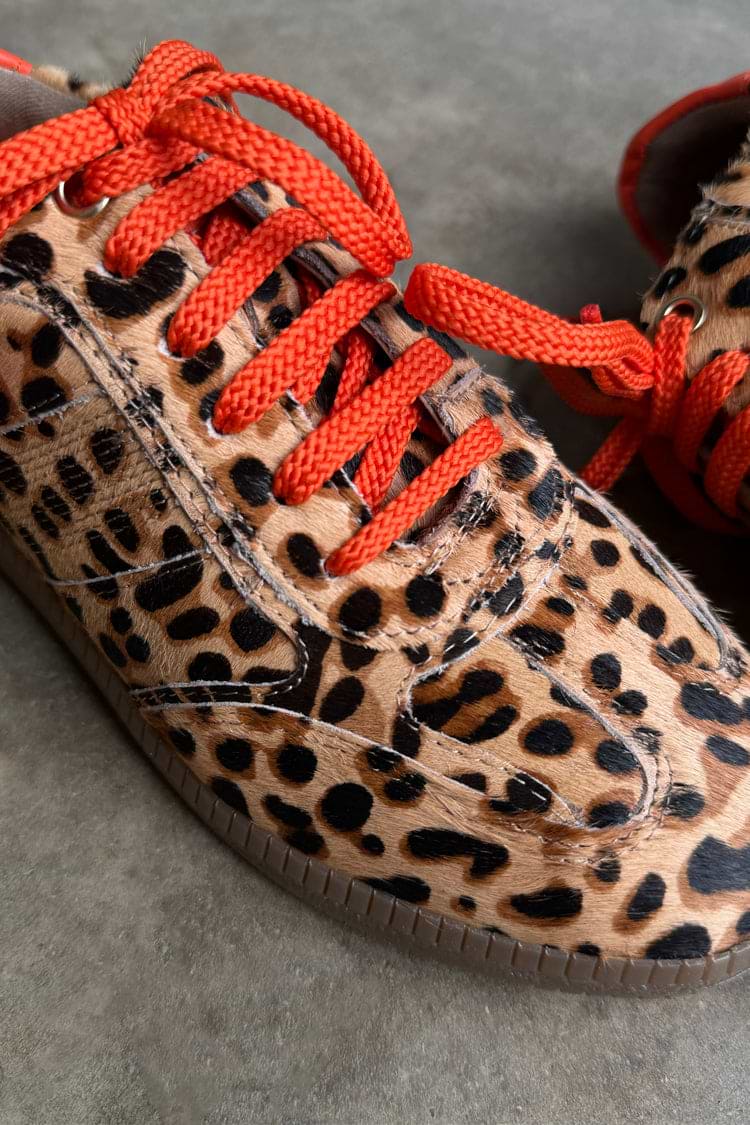Leopard Pony Trainer